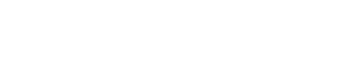 세계문화페스티벌 청춘 세계를 품다